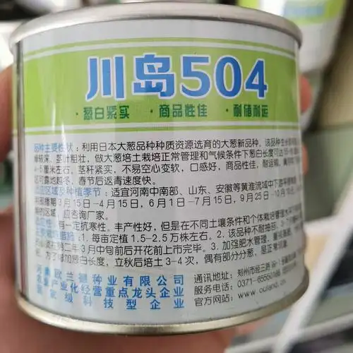 川岛504钢葱大葱种子 欧兰德日本进口钢葱葱白紧实钢葱大葱籽种子