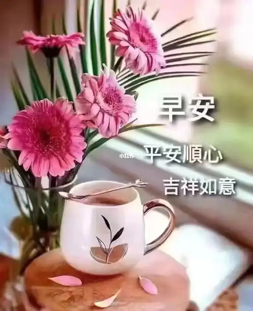 早上好,疫情 天冷特殊时期,愿你平安健康快乐就好.