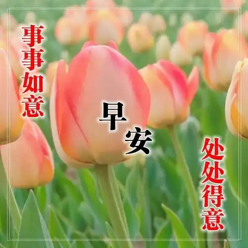 33清晨慰问朋友的早上好祝福句子早上好问候大家祝福语录