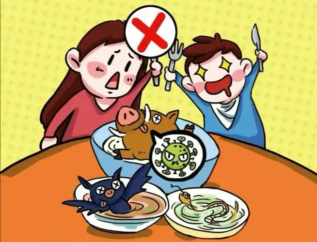 我们要拒绝吃野味,保护动物,保护大自然,也保护我们自己奥!