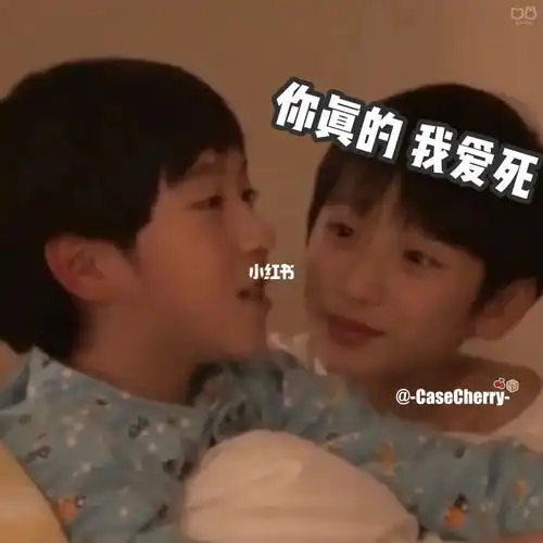 你真的 我哭死#严浩翔贺峻霖  #tnt时代少年团  #翔霖  #表情包