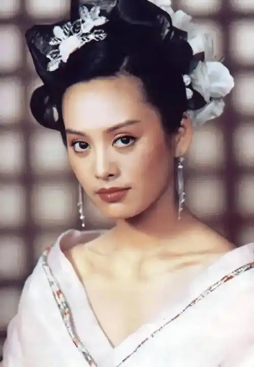 翻看宁静的履历,她的人生真的相当惊艳,出生于贵州,后来从专科读到了