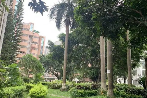 金城花园优点,不足,金城花园怎么样,金城花园周边房产中介经纪人评价-