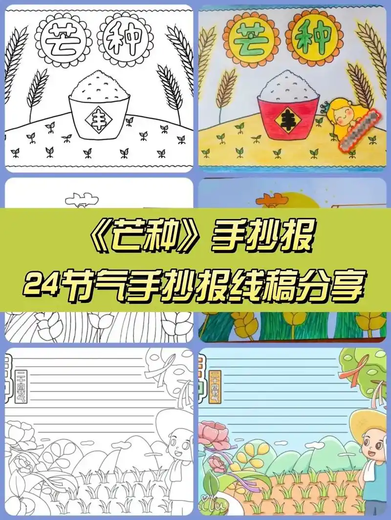 芒种手抄报24节气之芒种仲夏正式开始了