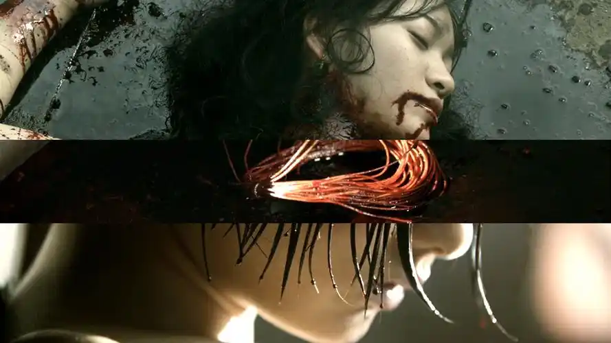 金陵十三钗真实历史(金陵十三钗真实历史结局玉墨真人)-文化号