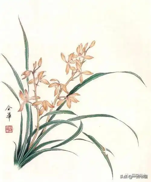 图文教程——工笔兰花《空谷幽兰》画法示范