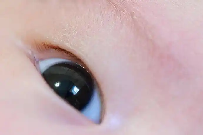 一只大眼睛特写_大眼睛狗狗_大眼睛油画