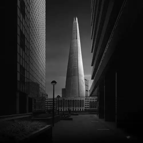 唯美简约的黑白摄影_林地和