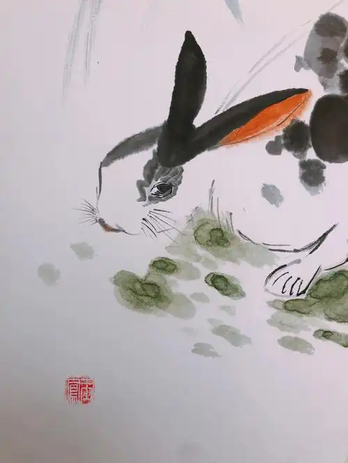 国画练习小兔子
