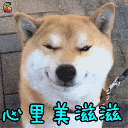 狗狗过得"滋润",看这7个迹象就知道!很少有全中的