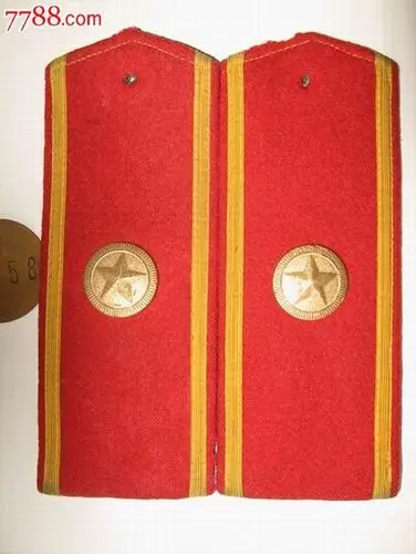 85式陆*仪仗队肩章