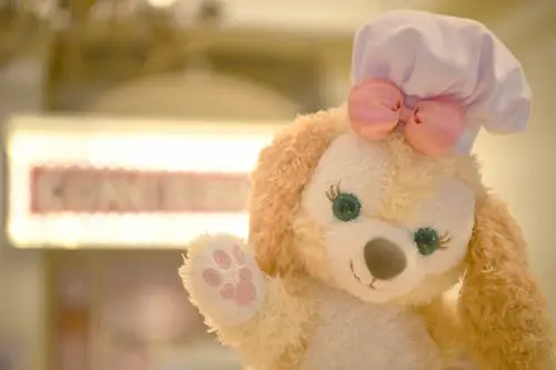 让大家好奇心炸裂的迪士尼小熊达菲熊duffy新朋友,身份终于揭晓