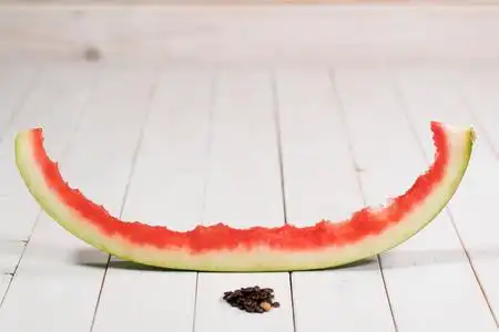 白底西瓜皮图片