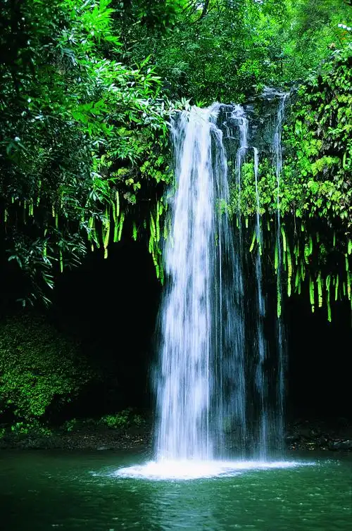 1865_2811竖版 竖屏