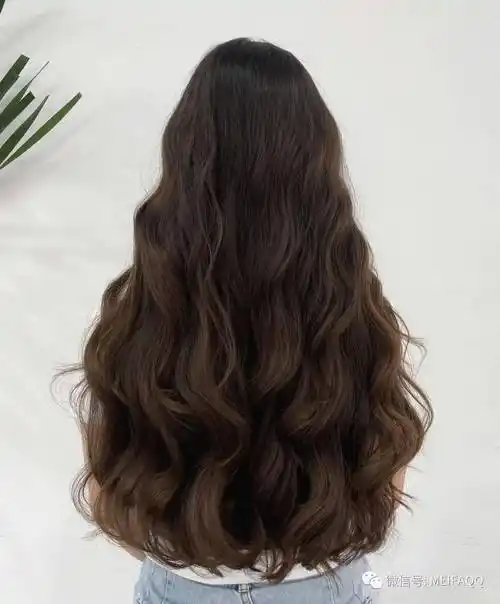 烫发怕老气就选木马卷