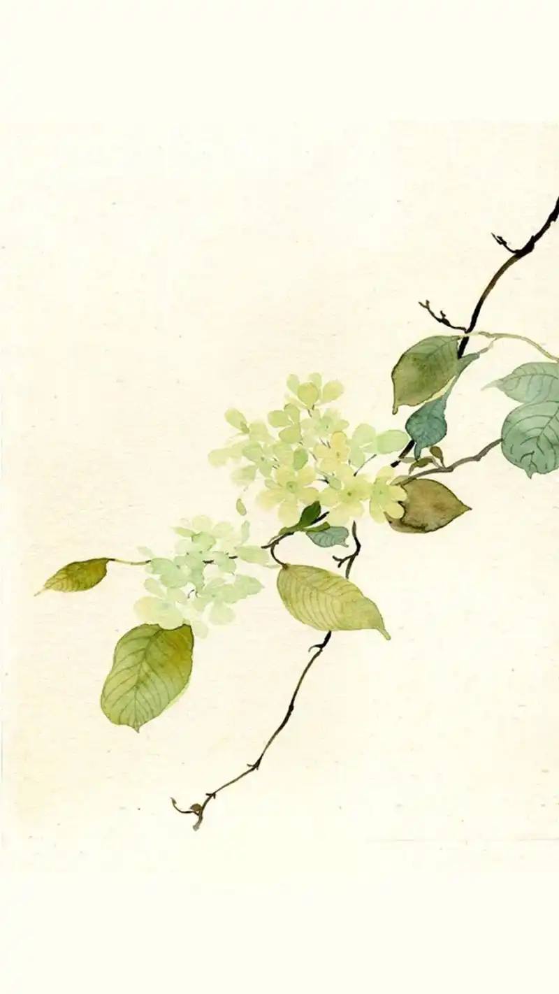 唯美手绘花卉植物高清手机壁纸