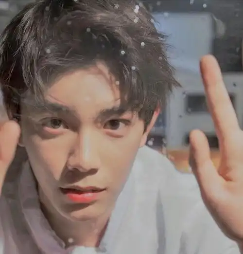 可不可以来求一些丁禹兮头像