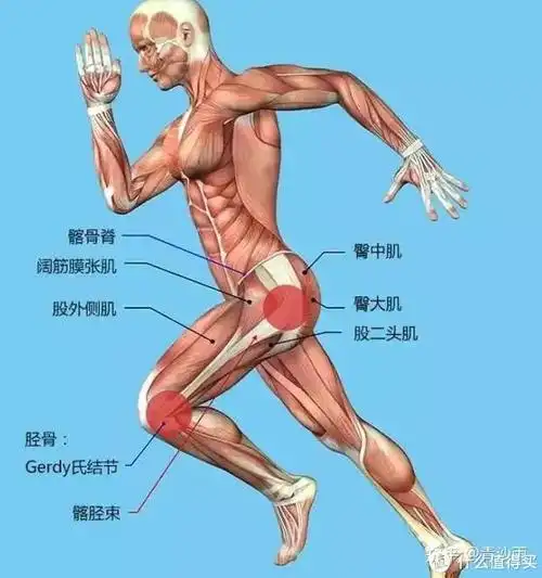 的臀肌力量发展不足,以及大腿内外侧肌力不平衡除了部分治疗手段外,最