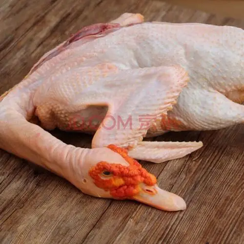 活鸭现杀鸭农家鸭炖汤老黑番鸭佳品 可发活体 1年以上老鸭杀好净重:9