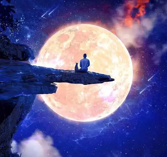 是一哄而上的盲目,而孤独只是我们内心世界的虔诚,是月下孤影的睿智