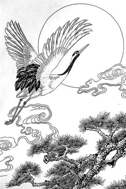 一组白描仙鹤,惟妙惟肖︱艺术名画