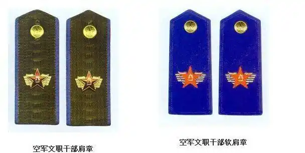 你说的应该是空军文职干部佩戴的肩章 现行军官军衔设三等十级