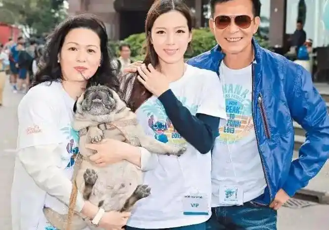 回顾梁洁华去世后葬礼上哭到昏厥发誓不再娶的黄日华怎样了