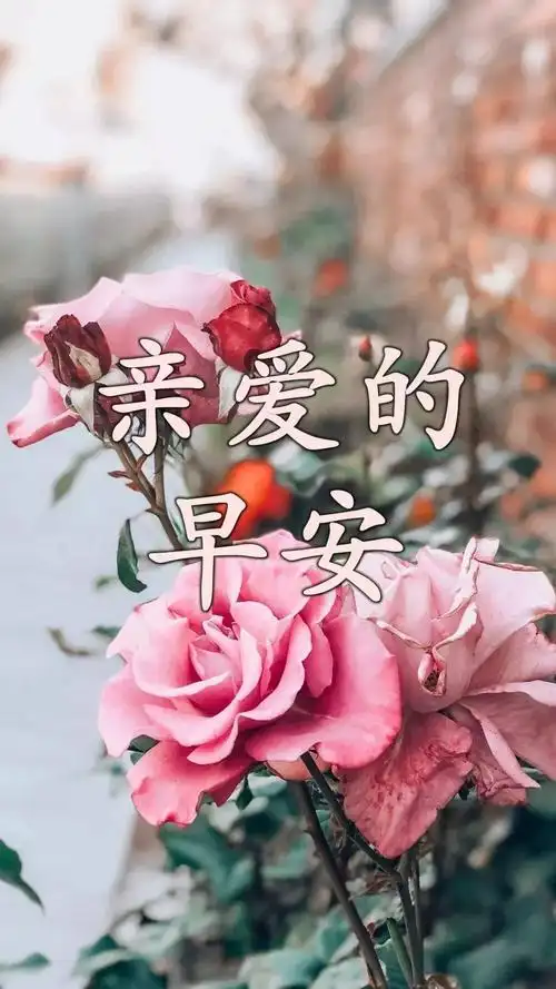 早上好问候语表情美女图片 早上好问候语暖心句子_开心