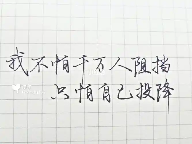 风是透明的河流,雨是冰凉的流星.