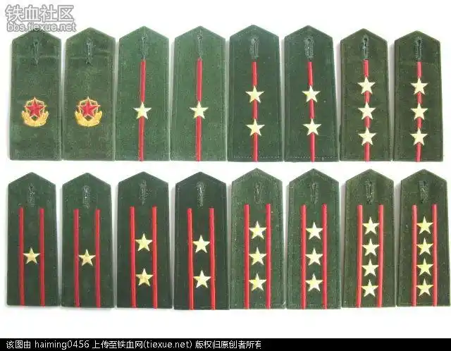 [原创]87武警肩章鉴赏