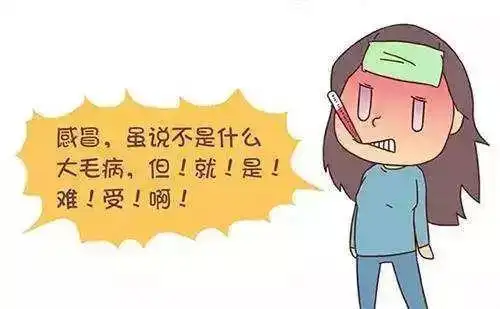 感冒难受怎么办?益生菌来帮忙!_人体