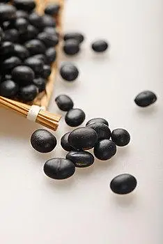 有机黑豆图片