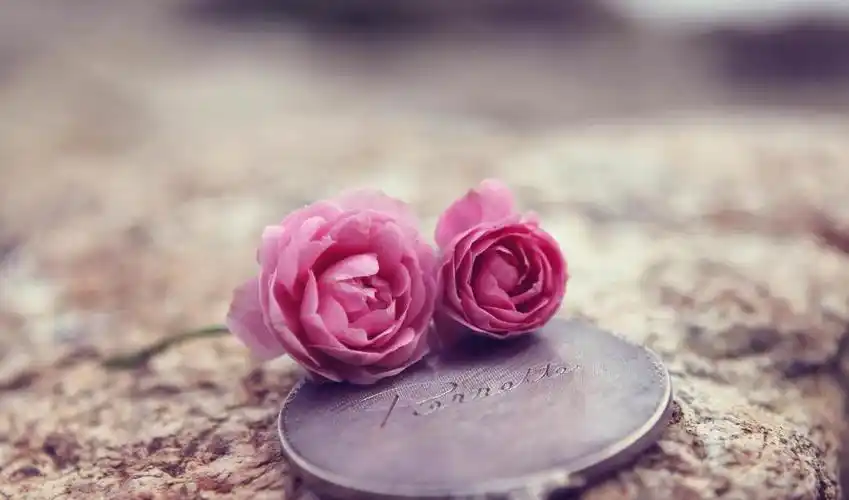 请为自己负责好好爱自己善待自己让生命之花努力绽放