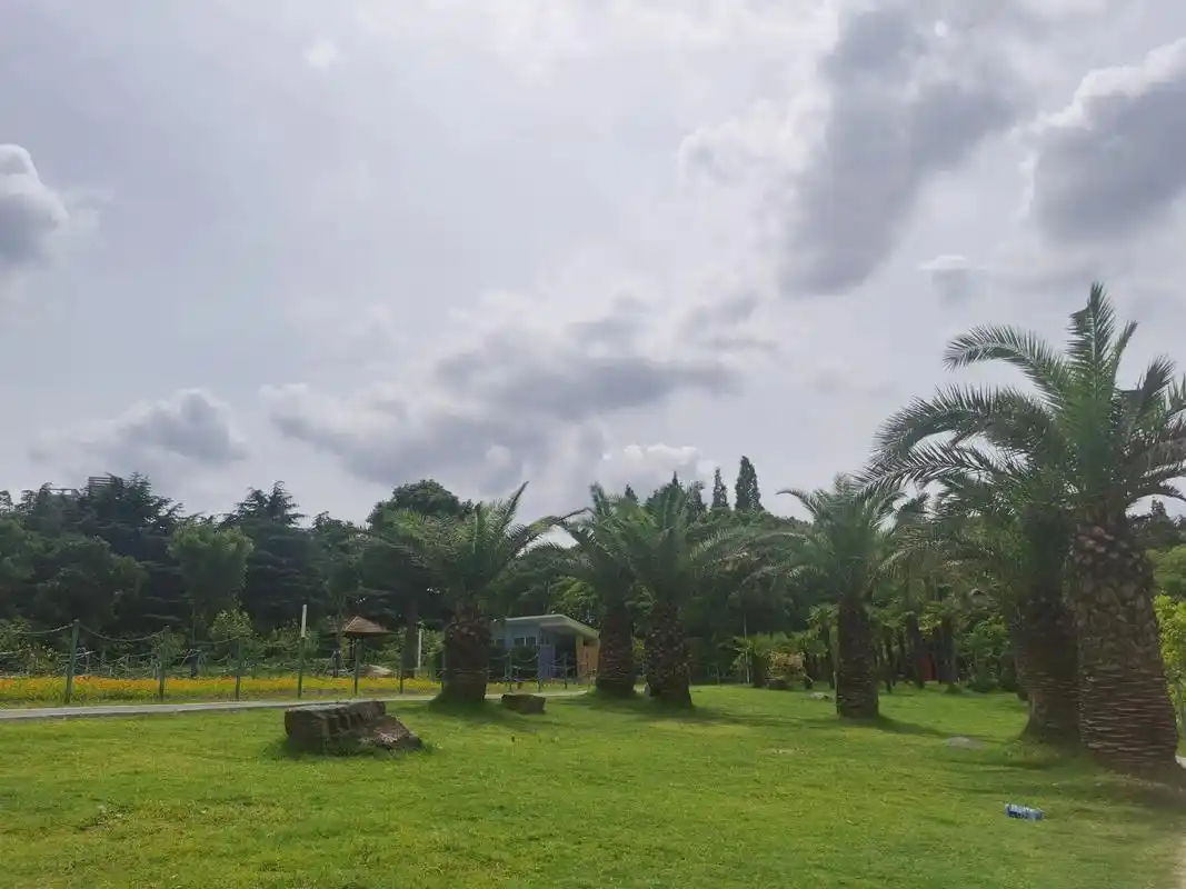 上海大宁灵石公园 #上海大宁灵石郁 - 抖音