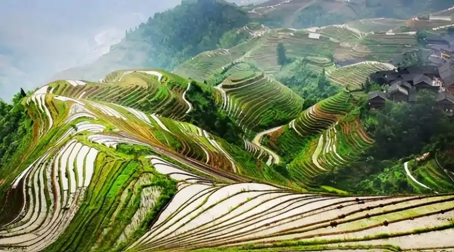 20元背后桂林山水的著名景点是哪里(漓江杨堤风景区简介)-第7张图片