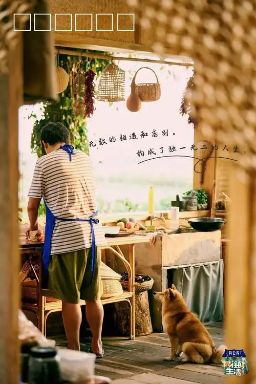 重温向往的生活5这50句文案令人印象深刻