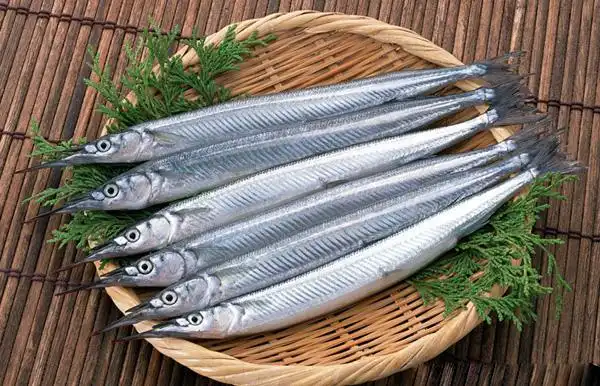 针鱼 礼盒系列|冰鲜鱼系列|贝壳类系列|沈阳海鲜礼