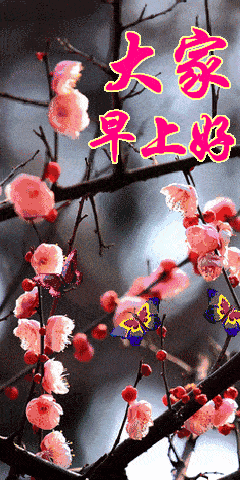 星期二特漂亮的早安问候图片_祝福_手机_好运