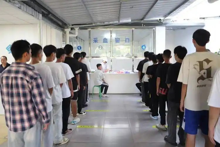 筑梦军营,健康先行| 景谷县人民医院顺利完成2024年下半年征兵体检