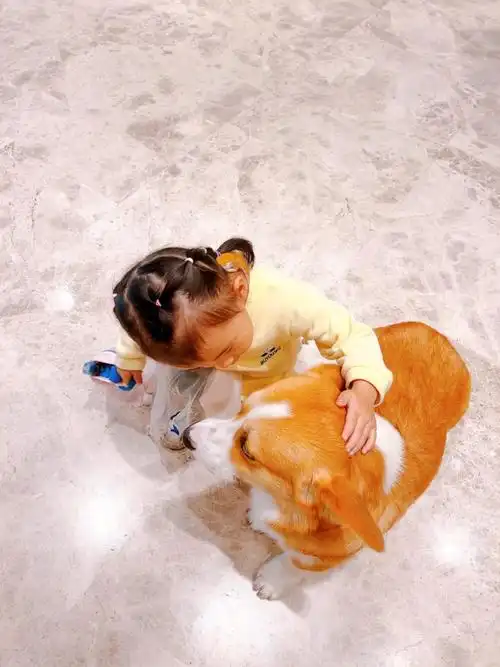 我家的萌娃和萌宠