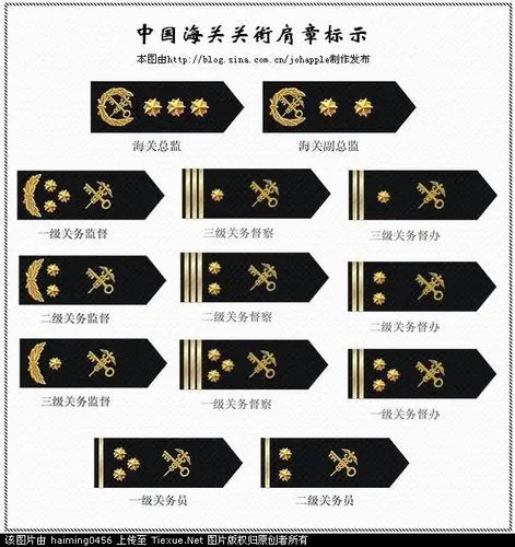 谁知道这是什么肩章?