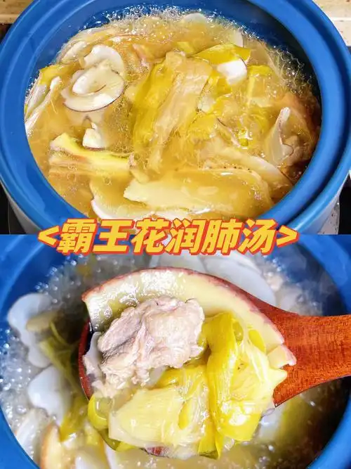 爱煲汤的广东女孩靓汤推荐霸王花润肺汤03
