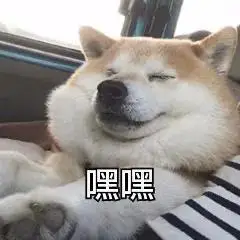 萌宠汪星人嘿嘿傻笑呆萌可爱gif动图_动态图_表情包下载_soogif