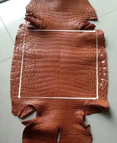 鳄鱼皮的品种优劣区分