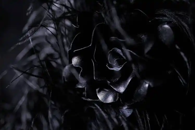 配饰鲜红的大花在颈间绽放,宣告着不羁的个性,黑色手包厚实内敛,给人