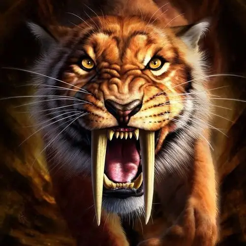 为内蒙古喝彩 - 奔跑的剑齿虎.王 唱吧,听见歌声遇见你