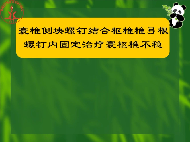 骨科课件寰枢椎椎弓根螺钉内固定技术治疗寰枢椎不稳.ppt