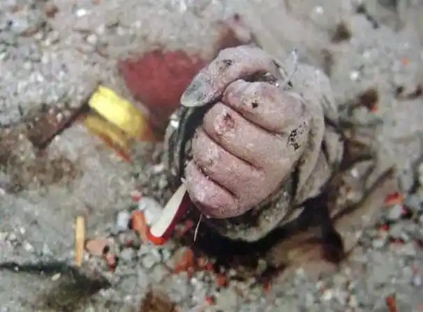 【5.12】汶川地震11周年:缅怀逝者 致敬重生