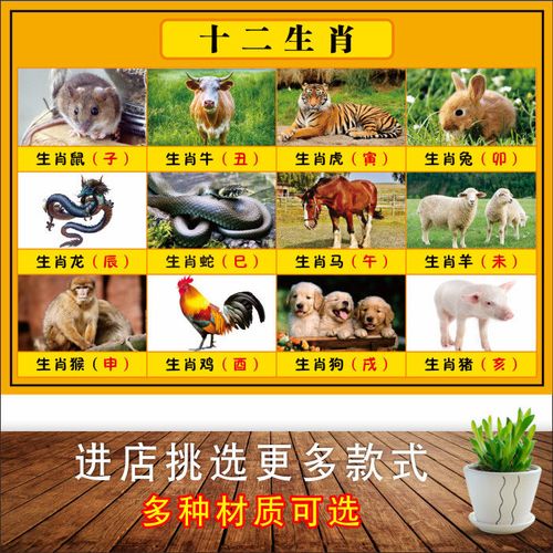 十二生肖动物图儿童早教动物海报图墙贴画教室房间壁画生肖图