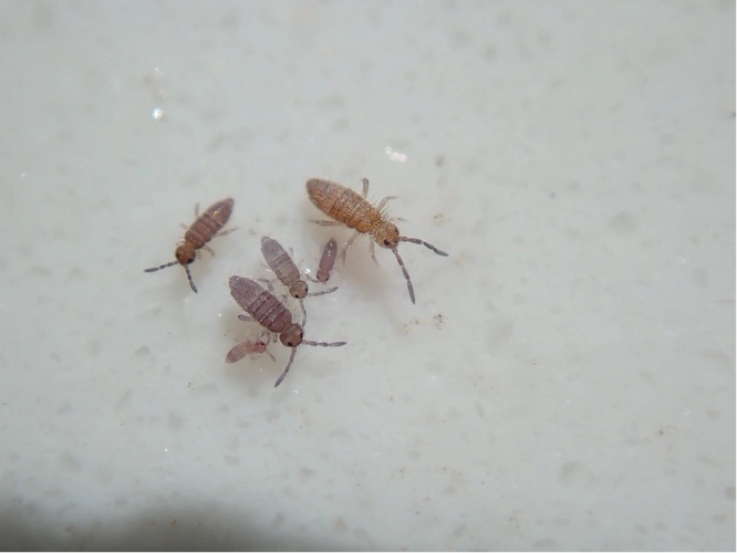 带上手套和勺子,我们去家门口的石头底下探索自然__财经头条